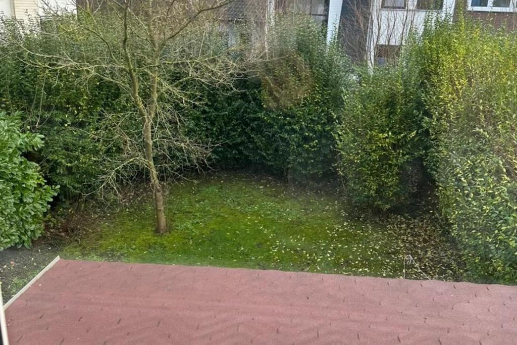 Kleines Haeuschen In Cadzand-Bad Buitenkant foto